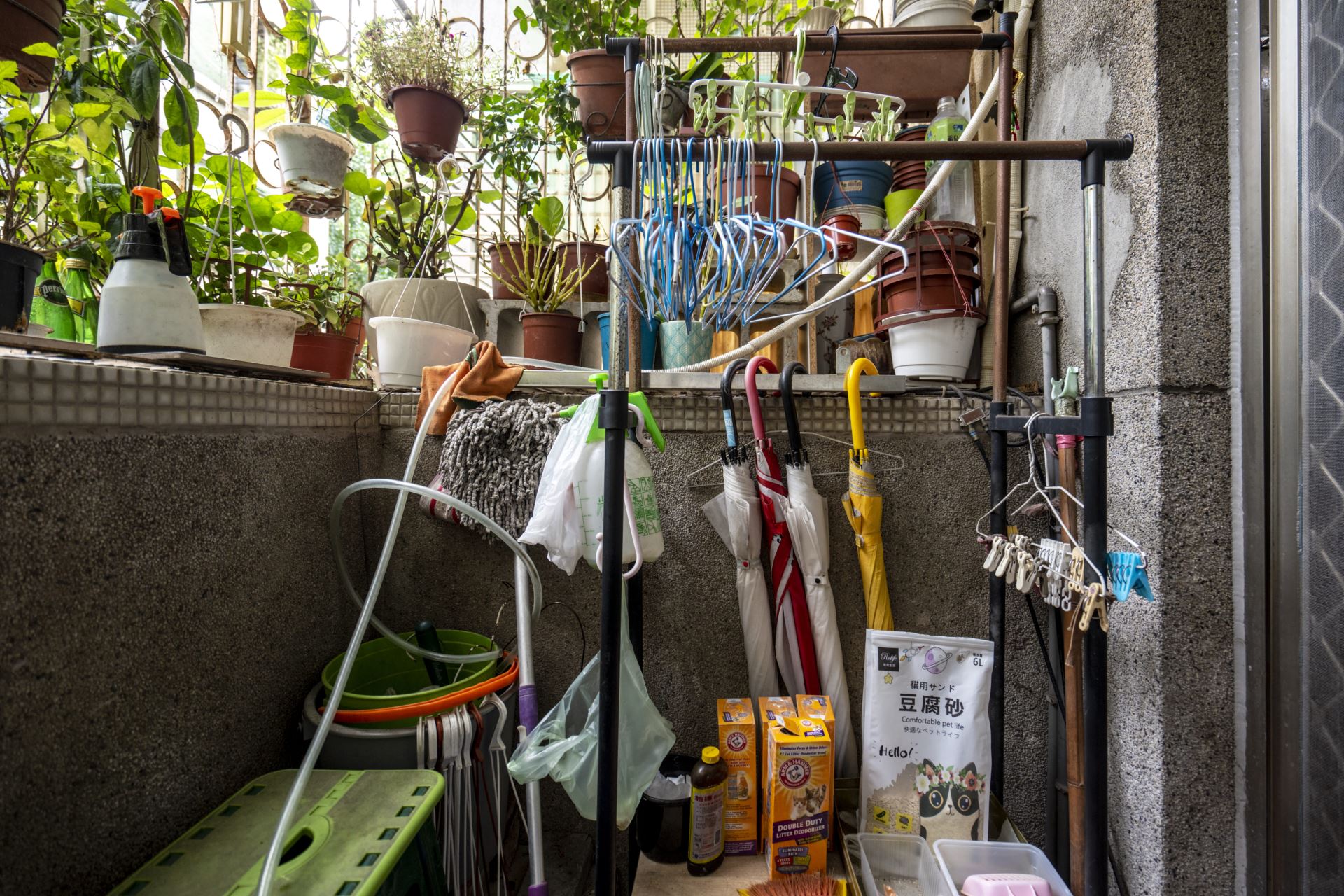 鄭宅陽台除了滿滿的植栽,還置放了雨具、雜物以及貓咪們使用的貓砂。
(Source: 雄本老屋規劃有限公司 提供)