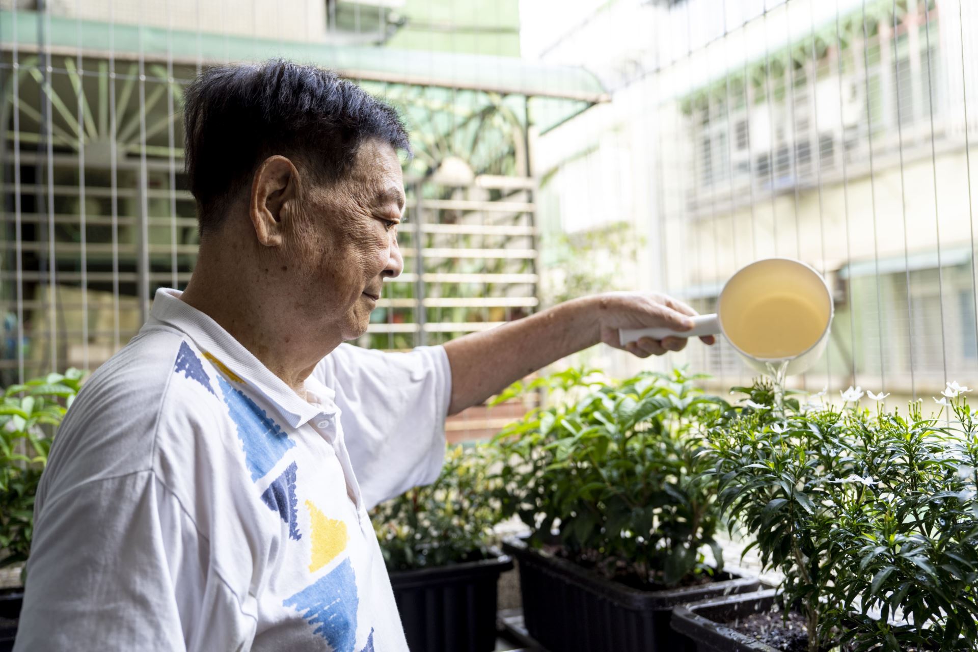 花型小巧的珍珠馬茶花是李宅陽台的新住客。
(Source: 雄本老屋規劃有限公司提供)