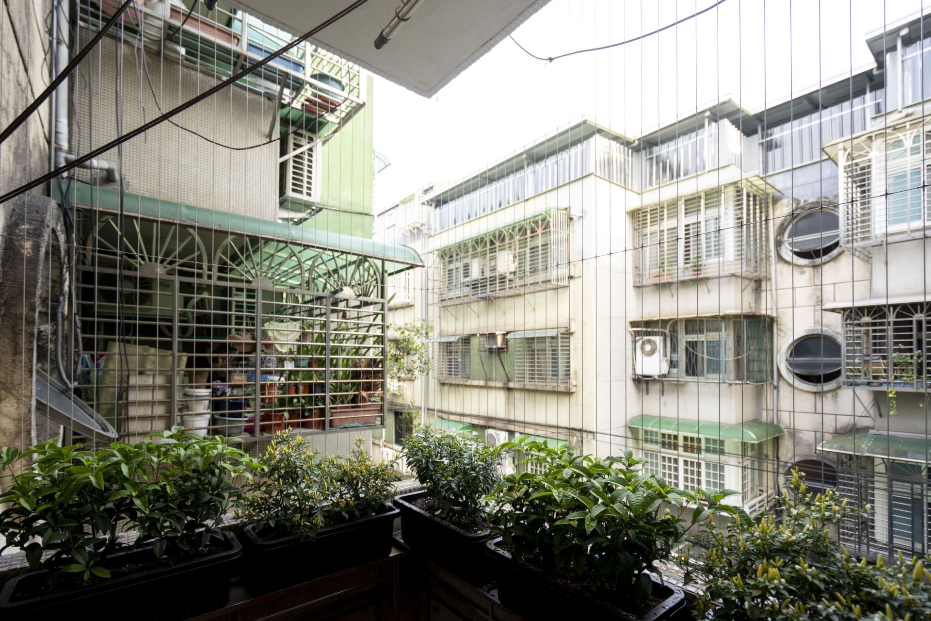 卸下老舊的鐵窗後,陽台得以更大面積地與室外環境互動。
(Source: 雄本老屋規劃有限公司提供)