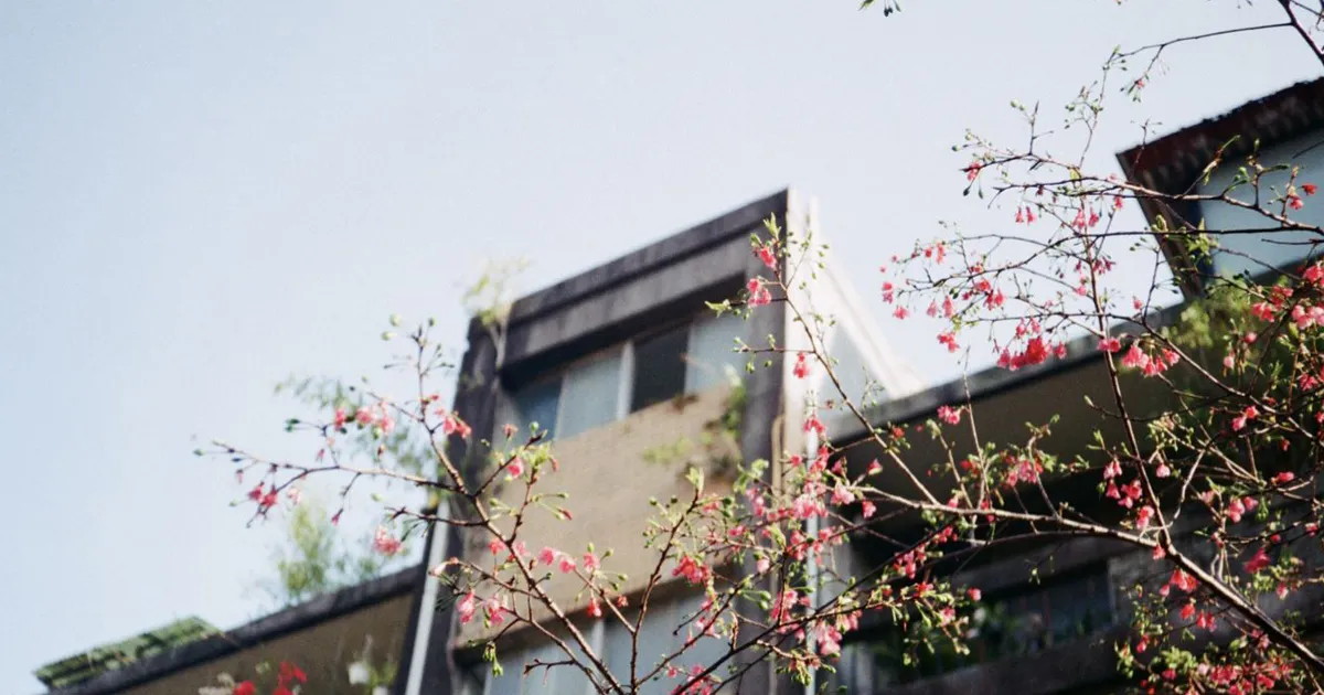在城市的日常裡,我們製造療癒:那些撫慰人心、交陪彼此的社區角落,如何照護了我們的情感需求?
