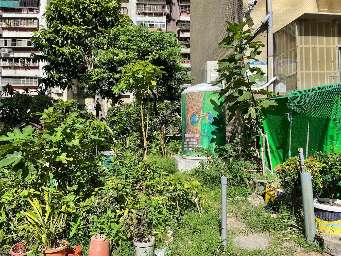 社區綠地裡的雨撲滿（Source: 劉學墉攝）