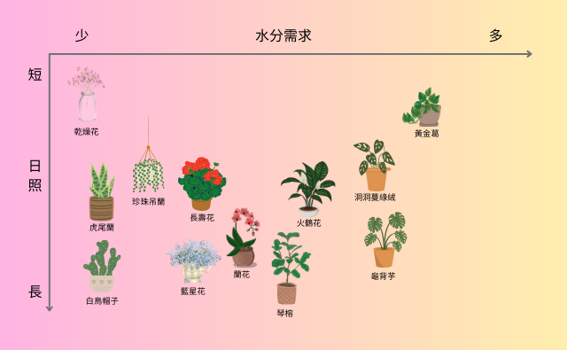適合你的植物光譜圖