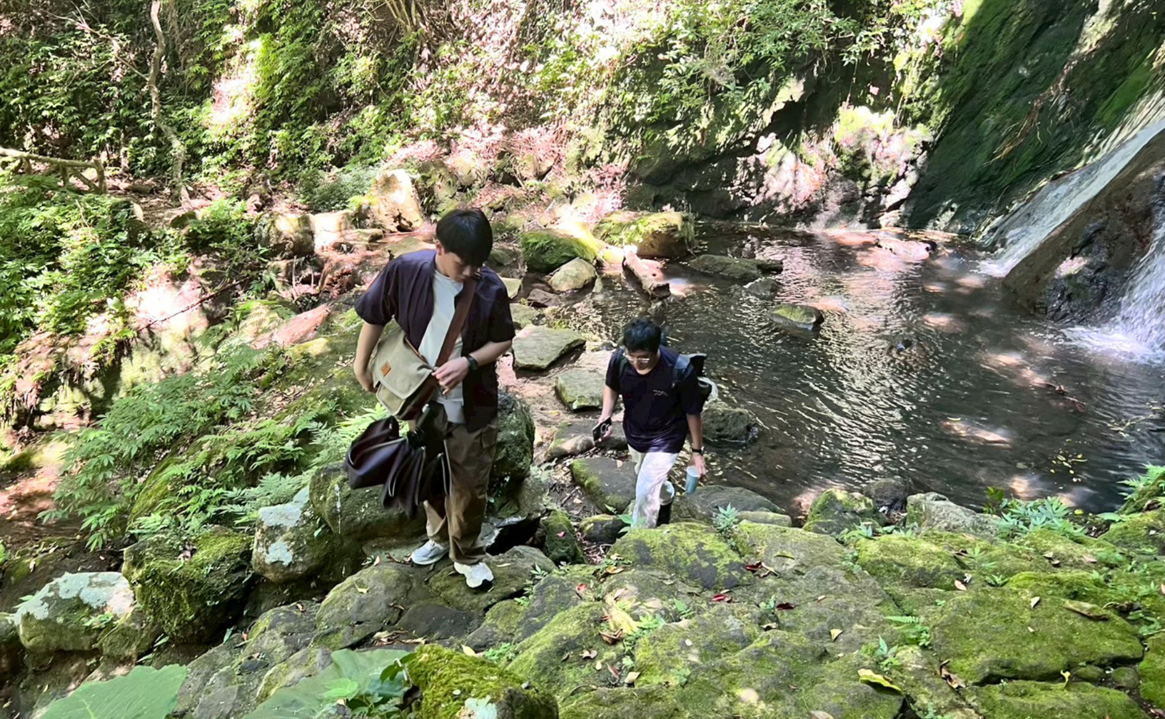 帶著參與者走進陽明山杉林溪水間。