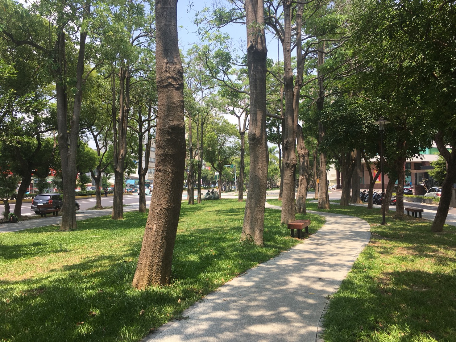 （鬧中取靜，敞徉在新竹之森中）