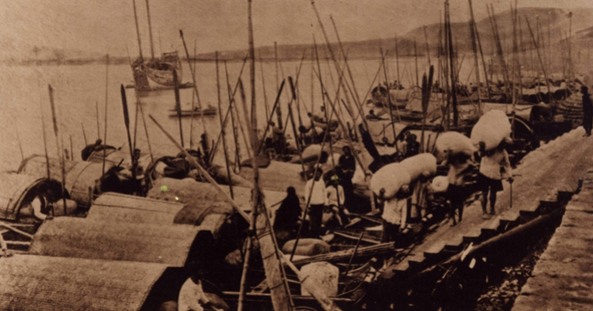 從大稻埕出發——張維真