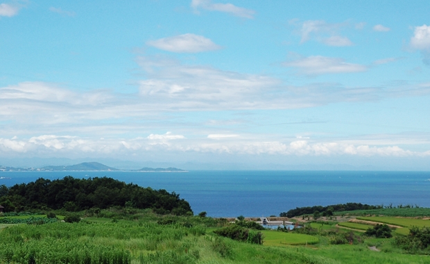 由豐島眺望瀨戶內海景觀。?(攝/詹蕙真)