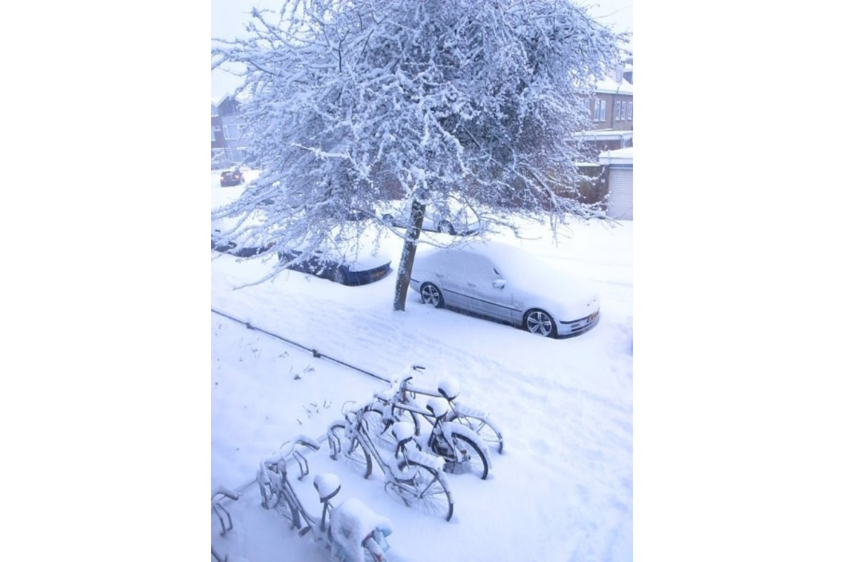 (某年冬季乍地連下數週的大雪深厚堆積,這時外出採買都是一項極地挑戰。)