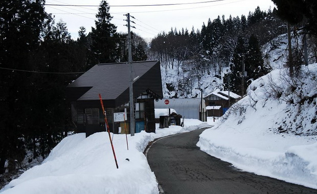 （位於松代的小屋丸藏身於綠意間，擁抱美麗而傳統的農村原風景。）