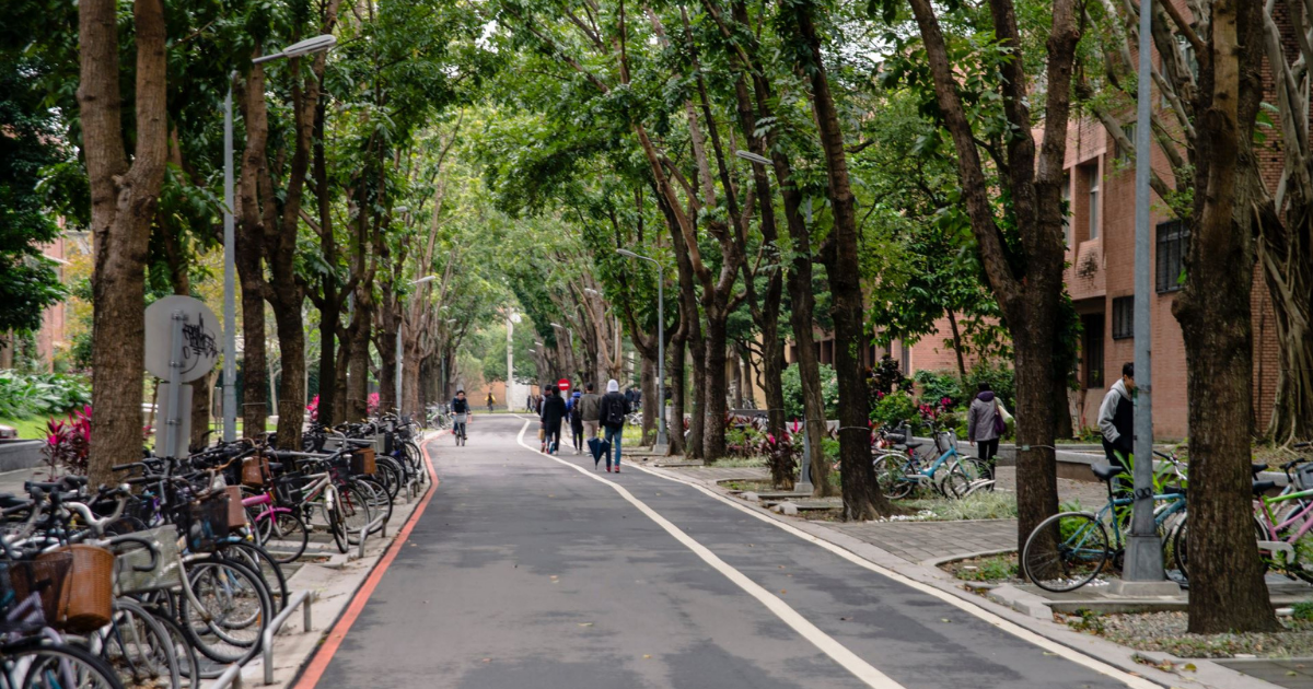 專業難以深化：談談我在景觀園藝業界觀察到的無奈