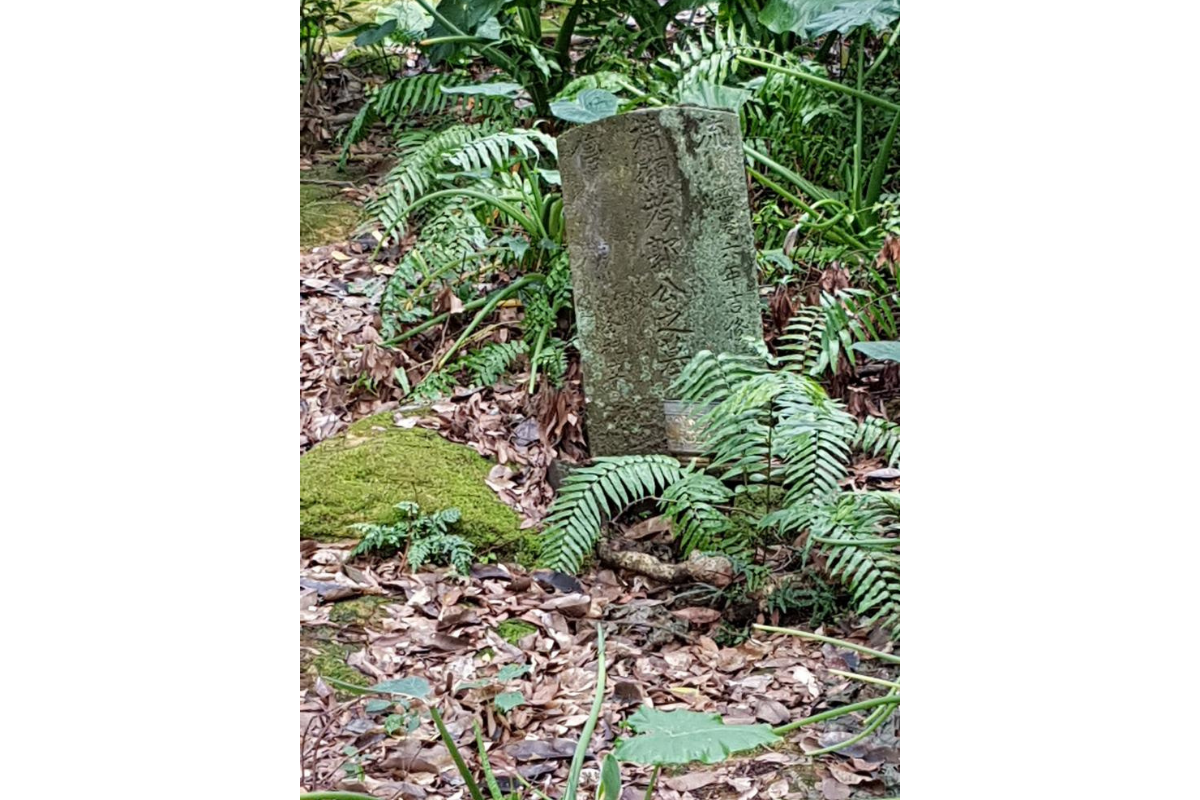 散佈在芝山岩各處的清代墳墓。