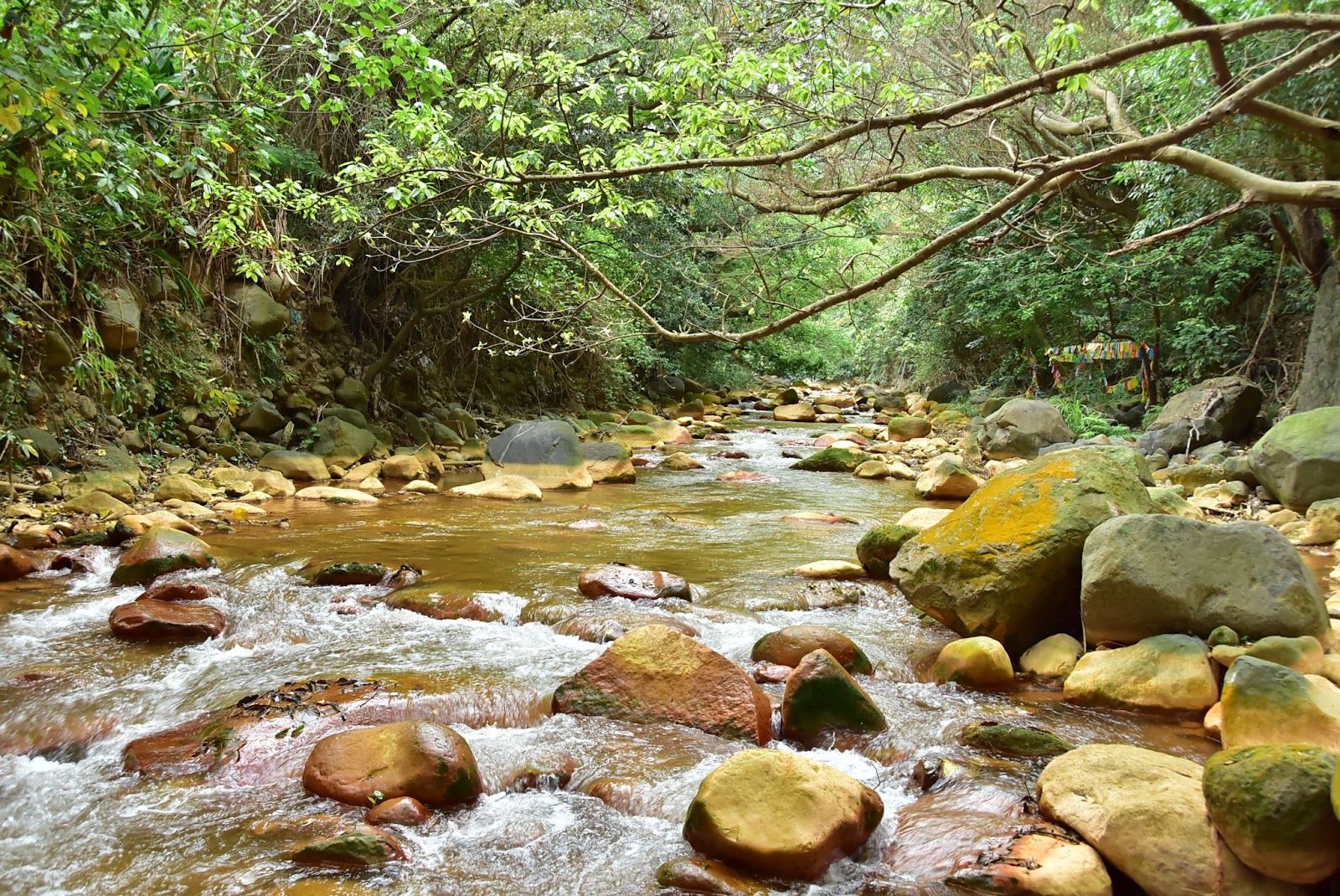 就在離我們不遠的野溪段，磺溪河道裡的石頭大小錯落，形成城市裡難得一見的流域地景。（source: 磺溪生活流域）