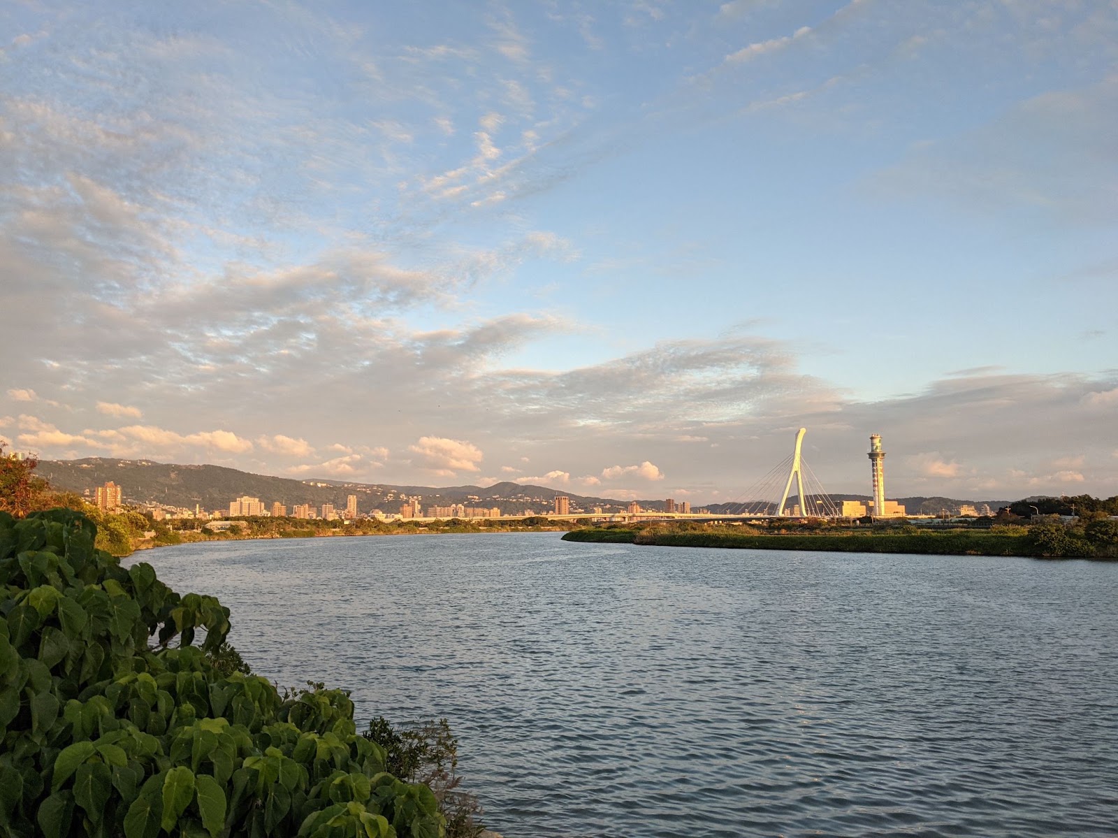 淡水河畔回望臺北城市（source: 王秀娟提供）