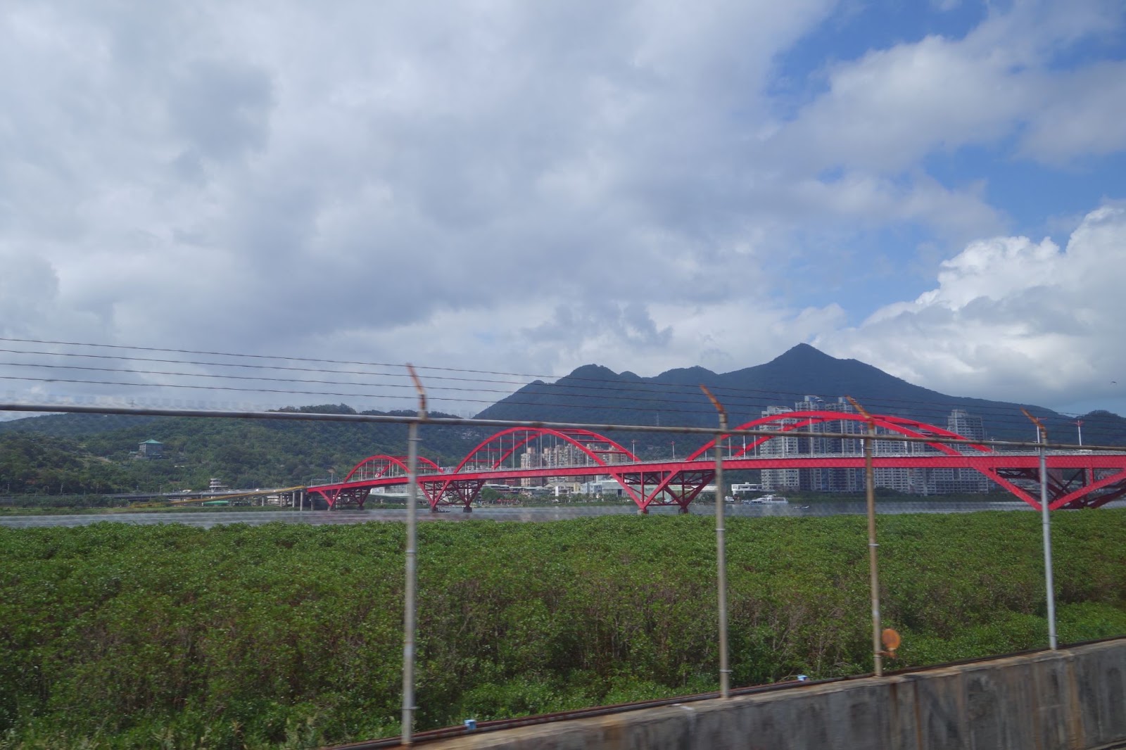 捷運觀賞山、河、大橋與河畔紅樹林（source: 王秀娟提供）
