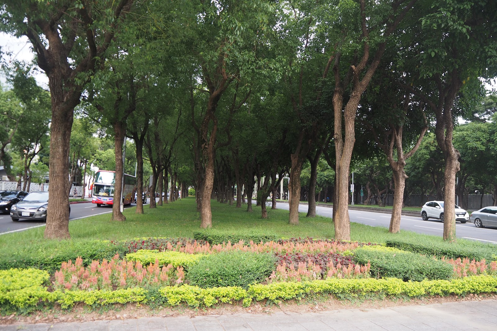 圖1:三線道路現況(source:吳昱瑩拍攝)