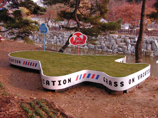 （「Grass on Vacation」裝置 圖 / 太田浩史）