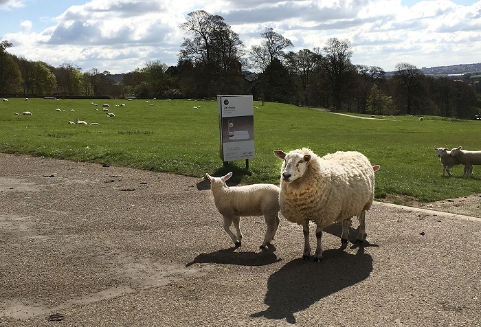 （Yorkshire Sculpture Park）