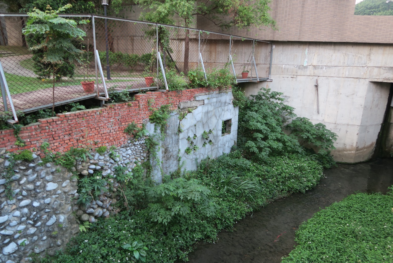 (羅斯福路五段92巷萬盛溪下游處,旁邊有一大片的「臺北好好看綠地」,也是即將成為建築高樓的都市更新單/詹育芳 攝)
