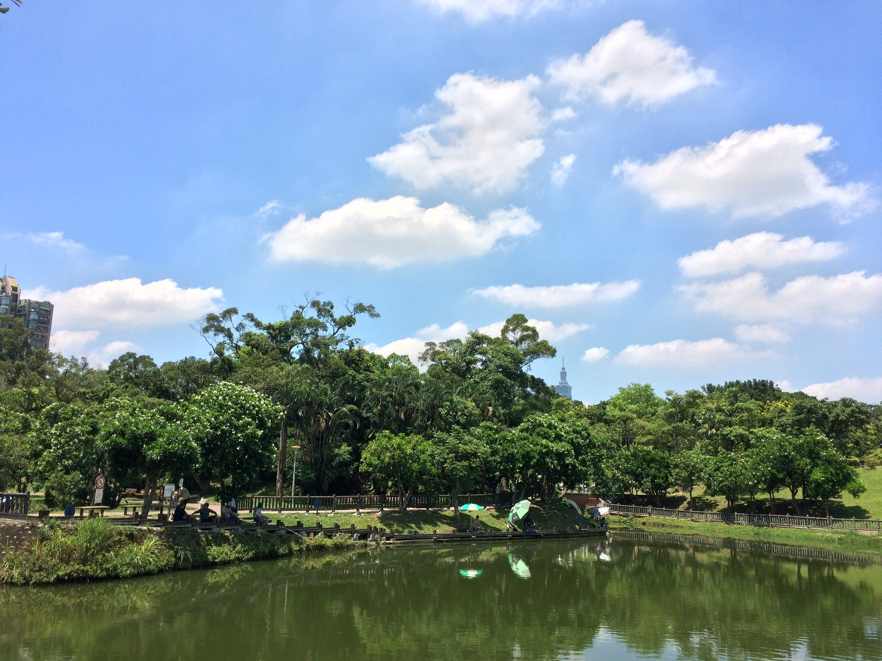 (南港公園 )