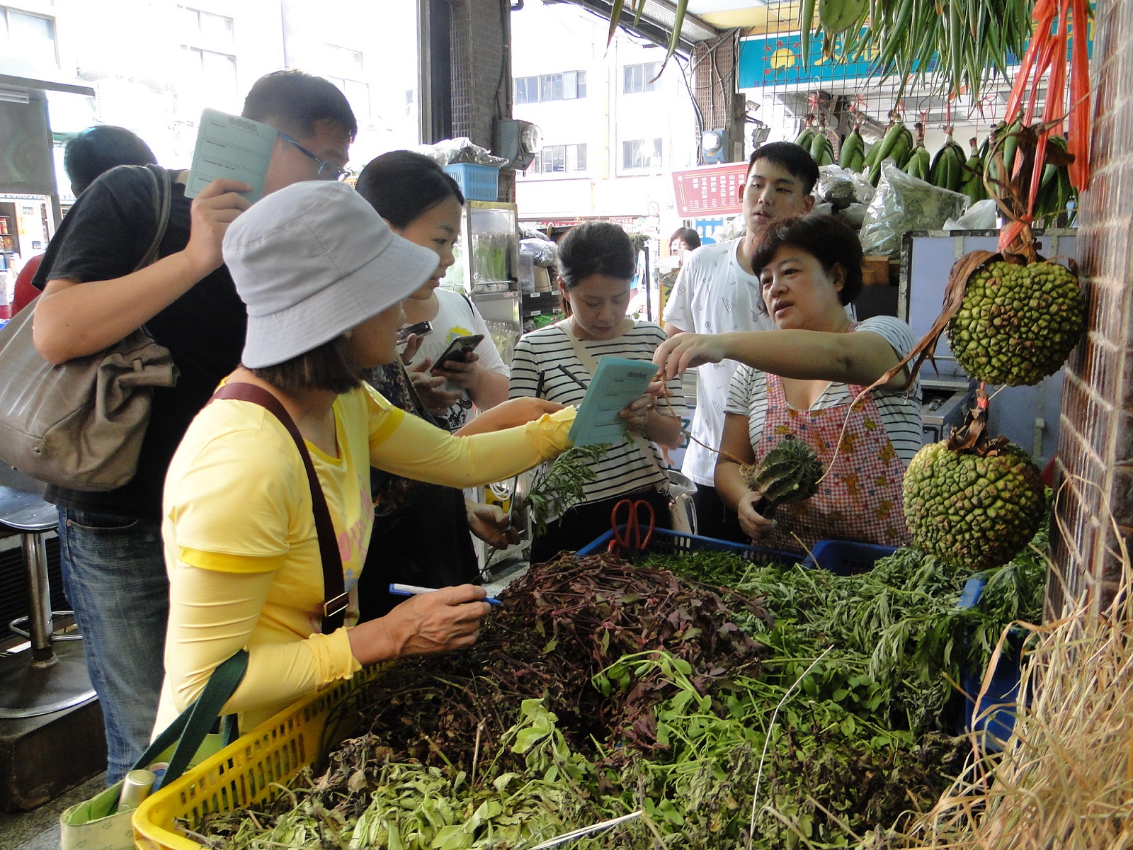 (青草店老闆仔細地為工作坊學員們解說各種青草知識)