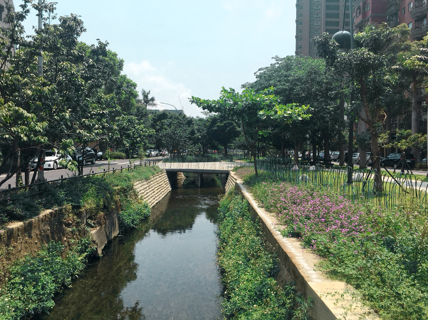 （步行在見證新竹城市開墾的隆恩圳旁）