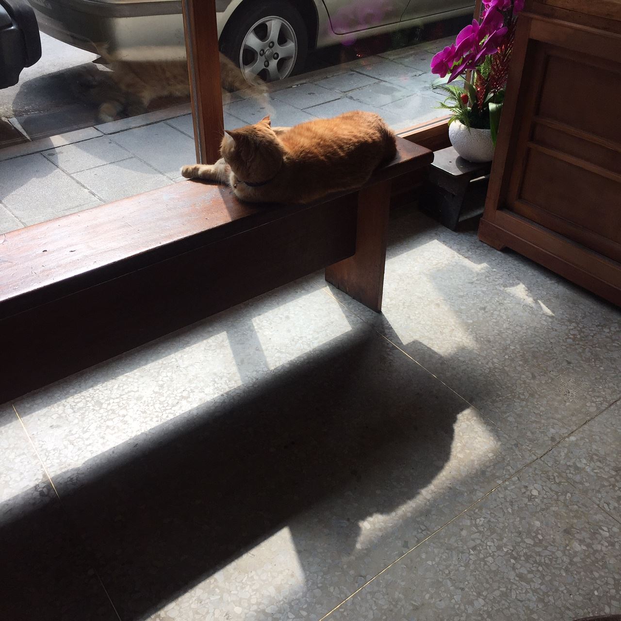 （Source: 豐仁藥局提供）