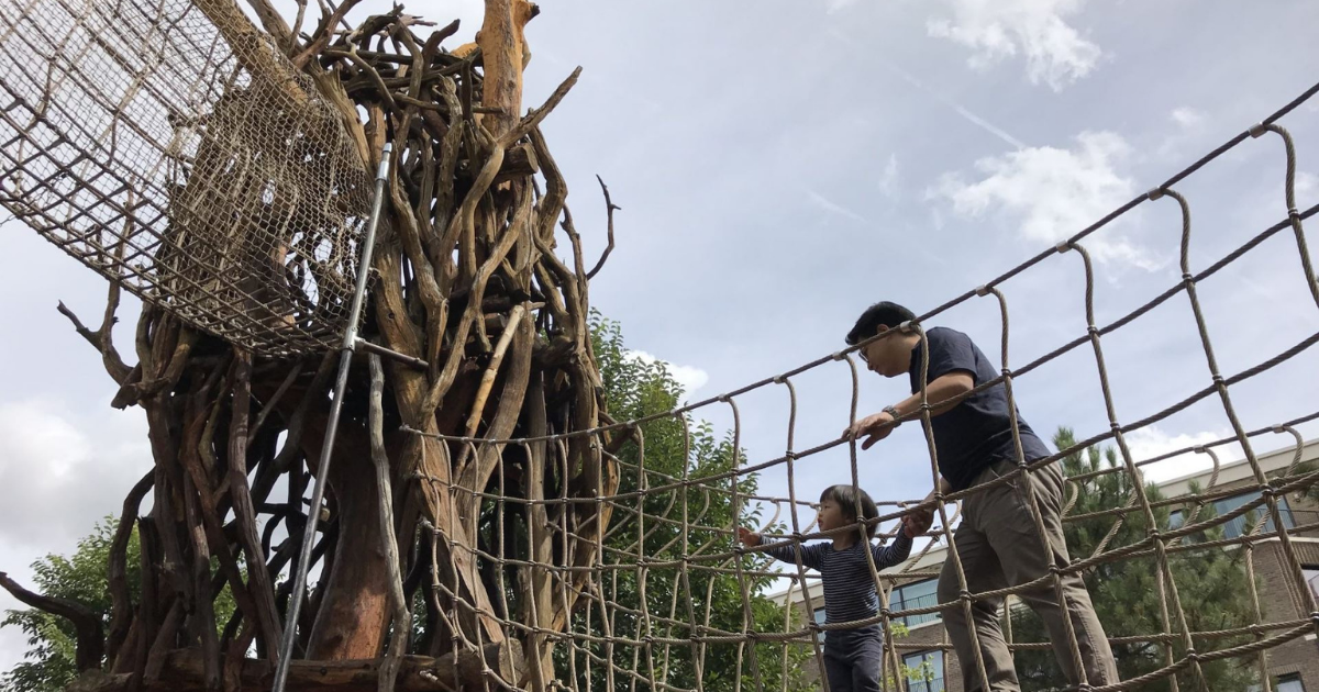 提升城市的免疫力！從打造「自然遊戲空間」開始